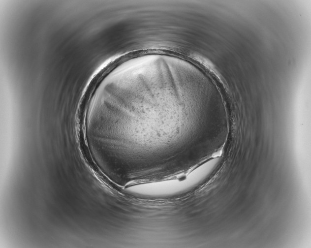 X0000084531024200703161604