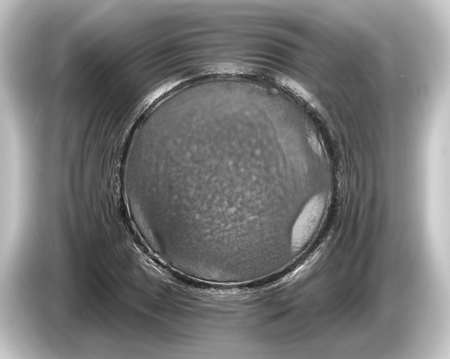 X0000084531025200703161604