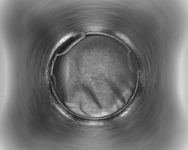 X0000084531026200703161604