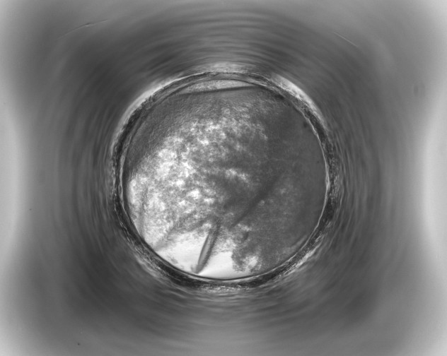 X0000084531027200703161604