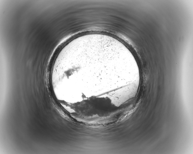 X0000084531029200703161604