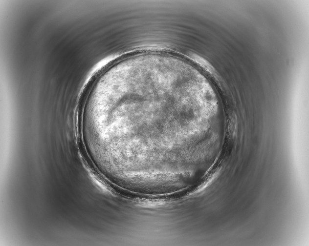 X0000084531030200703161604