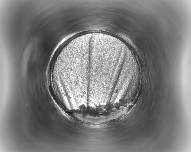 X0000084531032200703161604