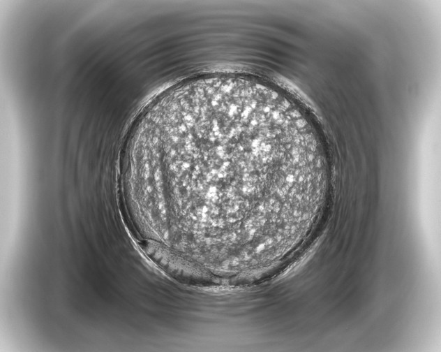 X0000084531033200703161604