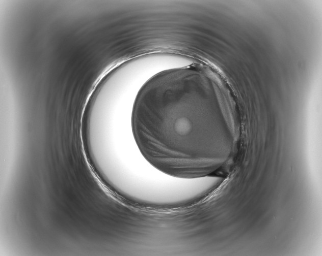 X0000084531034200703161604