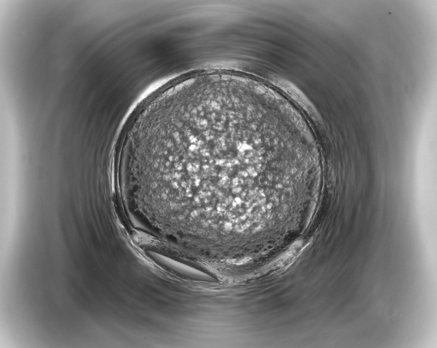 X0000084531036200703161604