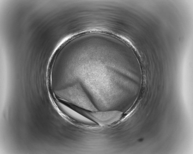 X0000084531038200703161604