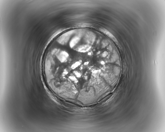 X0000084531039200703161604