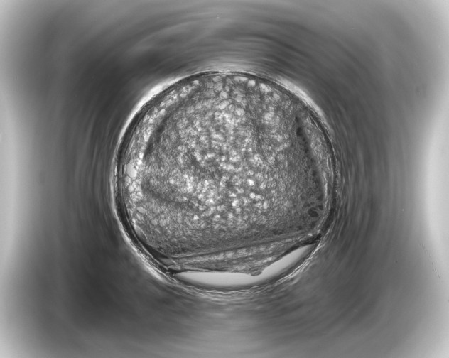 X0000084531040200703161604