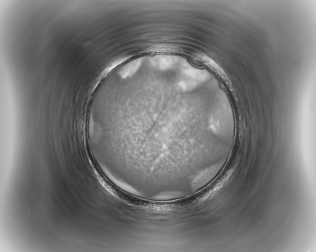 X0000084531041200703161604