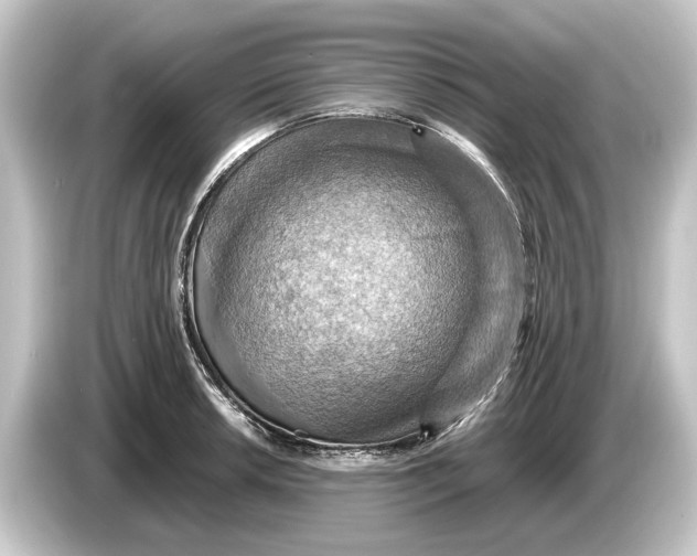 X0000084531042200703161604