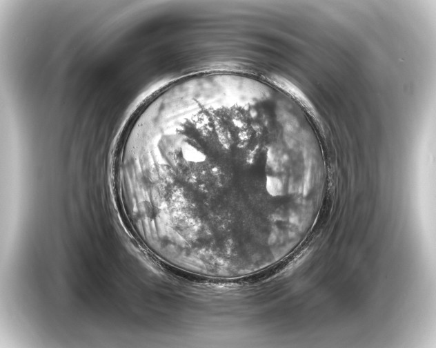 X0000084531043200703161604