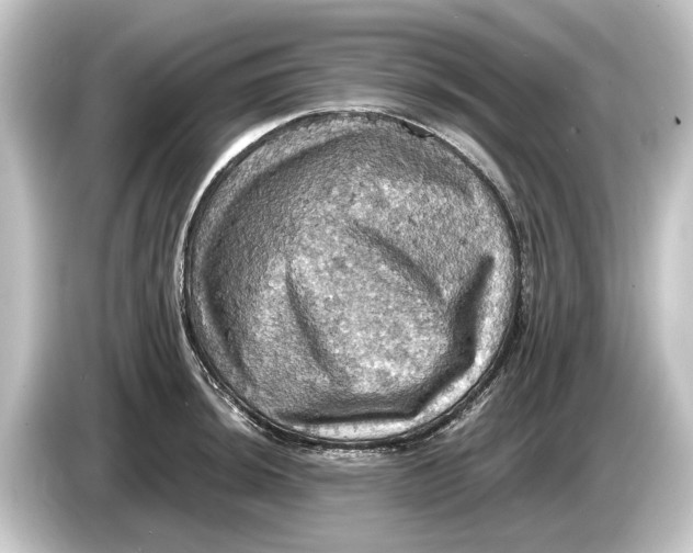 X0000084531044200703161604