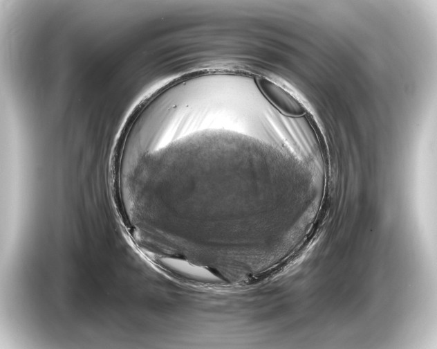 X0000084531045200703161604