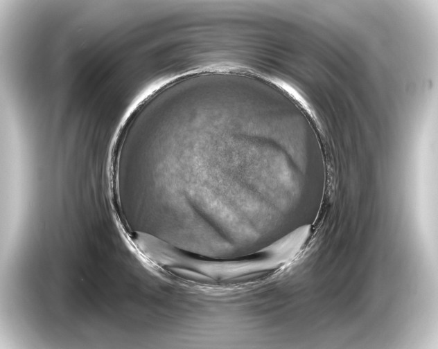 X0000084531046200703161604