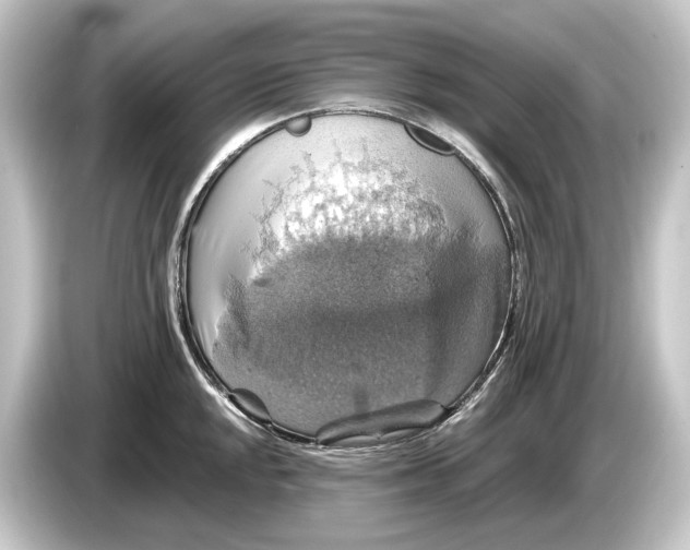 X0000084531048200703161604