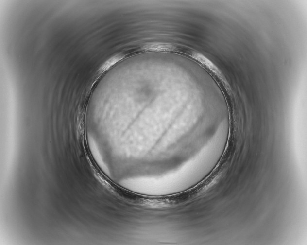 X0000084531049200703161604