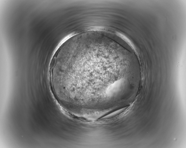 X0000084531050200703161604