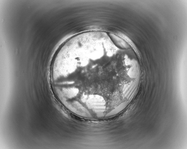 X0000084531051200703161604