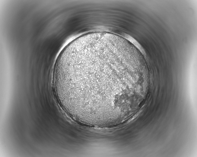 X0000084531052200703161604