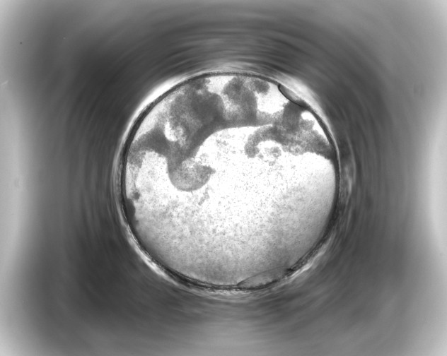 X0000084531053200703161604