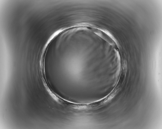 X0000084531054200703161604