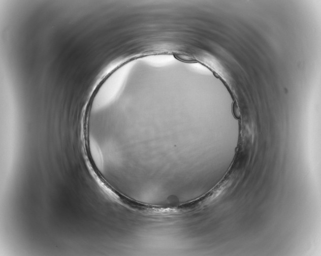 X0000084531055200703161604