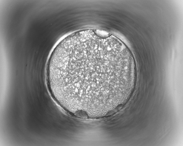 X0000084531056200703161604