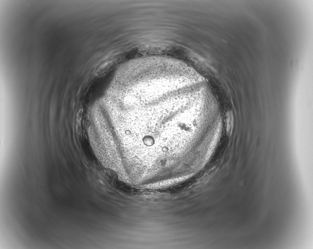 X0000084531059200703161604