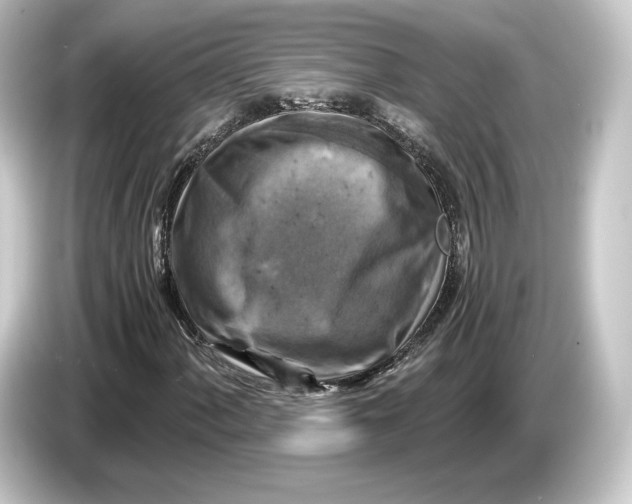 X0000084531060200703161604