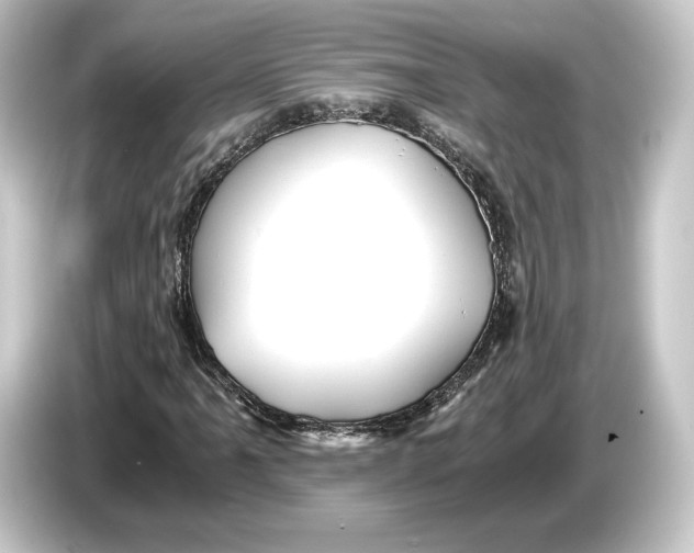 X0000084531061200703161604