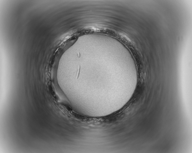 X0000084531062200703161603