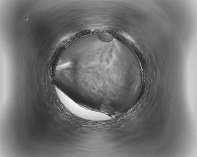 X0000084531063200703161603