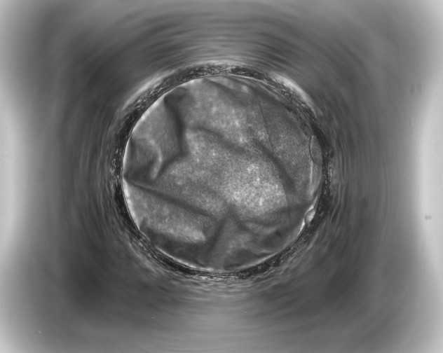 X0000084531064200703161603