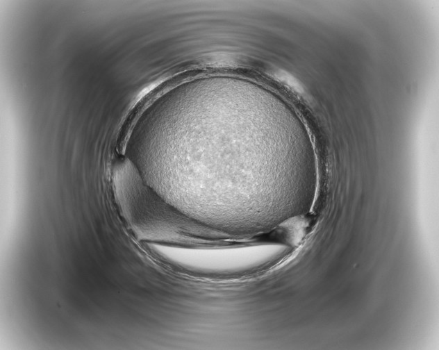 X0000084531065200703161603