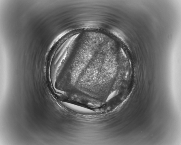 X0000084531066200703161603