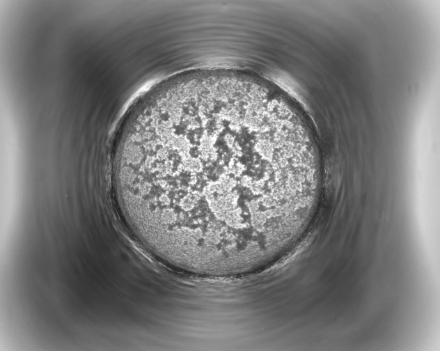 X0000084531067200703161603