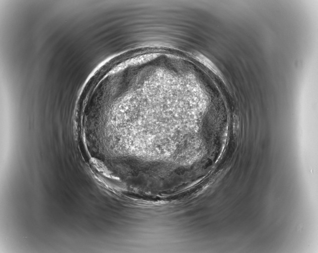 X0000084531068200703161603