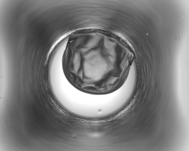 X0000084531069200703161603