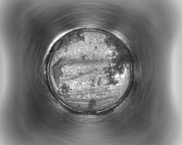 X0000084531070200703161603