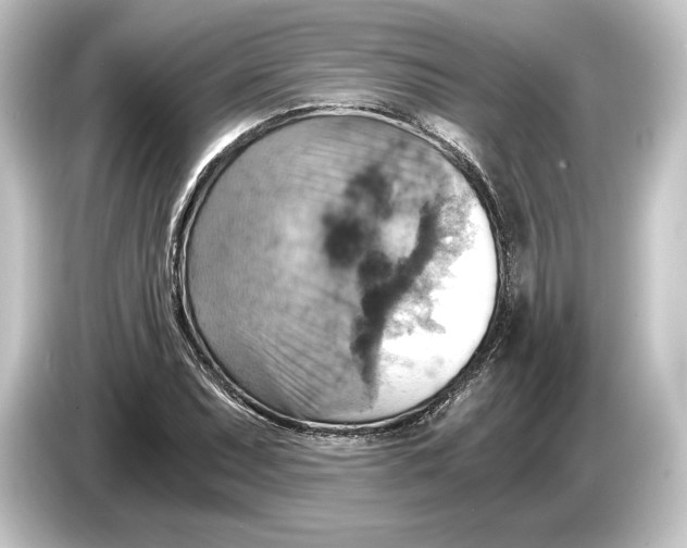 X0000084531071200703161603