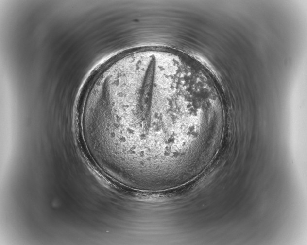 X0000084531072200703161603