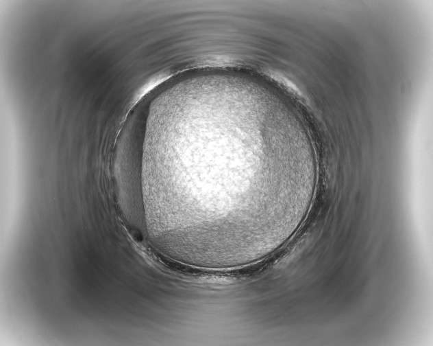 X0000084531073200703161603