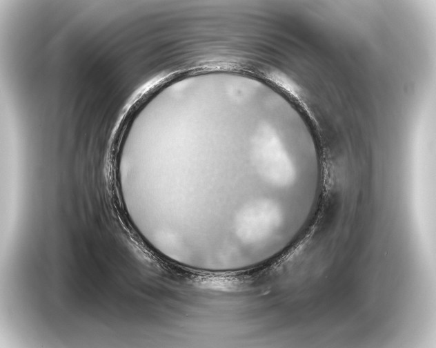 X0000084531074200703161603