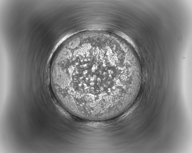 X0000084531075200703161603