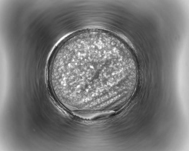 X0000084531076200703161603