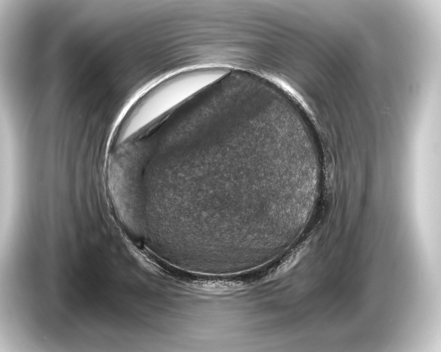 X0000084531077200703161603