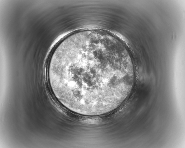 X0000084531078200703161603