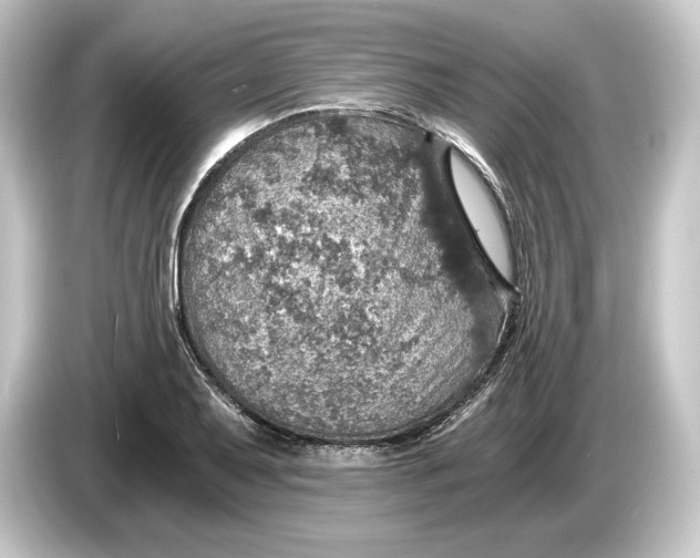 X0000084531079200703161603