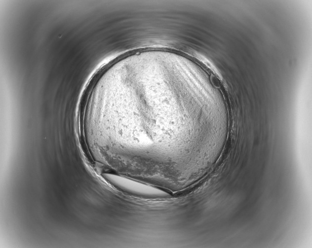 X0000084531080200703161603